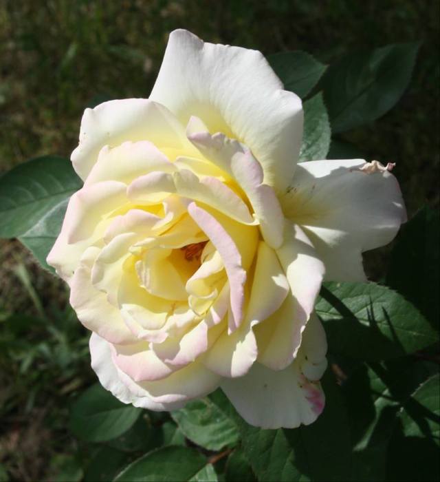 34844872_10160458874470243_5782311618746515456_n