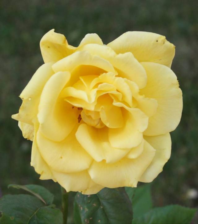 35241499_10160471433885243_4894590961549574144_n