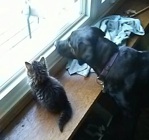 36391955_1857410107648700_2145520195110699008_n