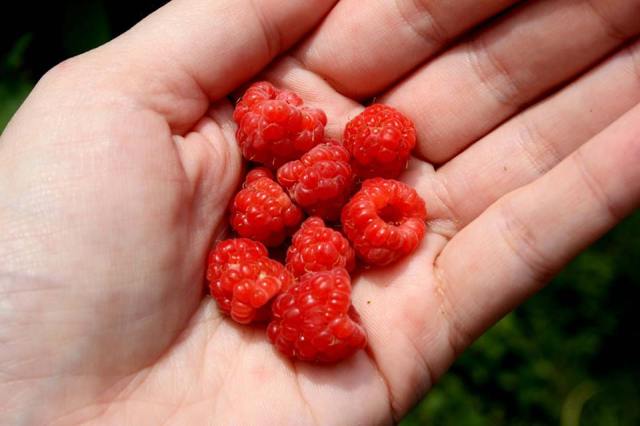 37087844_10160583131465243_4955142449870667776_n