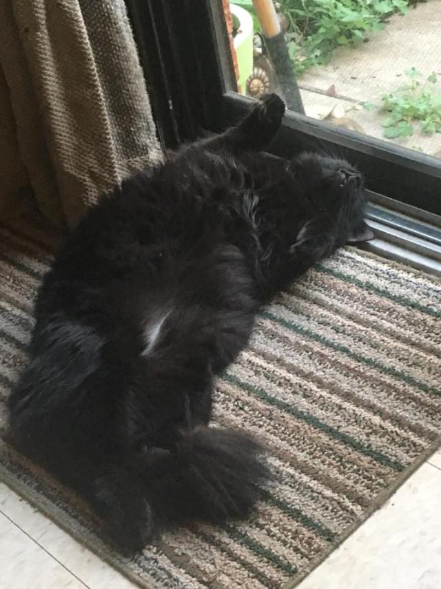 37827671_10160635328500243_8280727260567175168_n