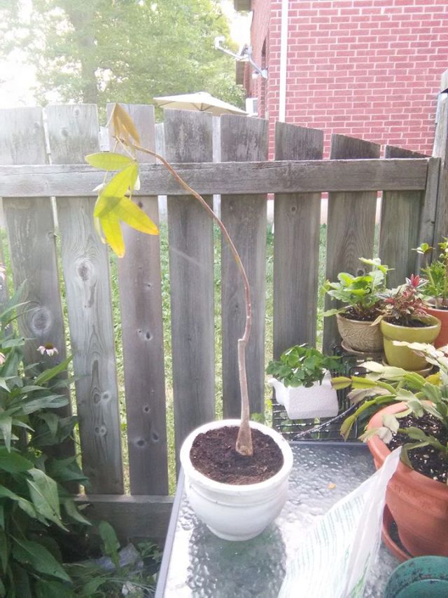 37963619_10160643437915243_1907223164576858112_n