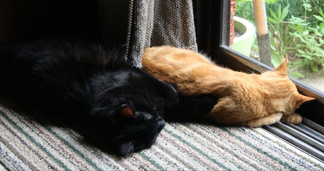 38085795_10160659826610243_35746609077682176_o