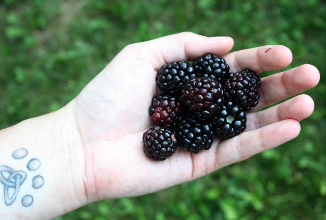 38600630_10160678097940243_4324843410633523200_o