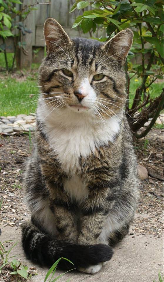 18425433_10158677382440243_5722314253693325780_n