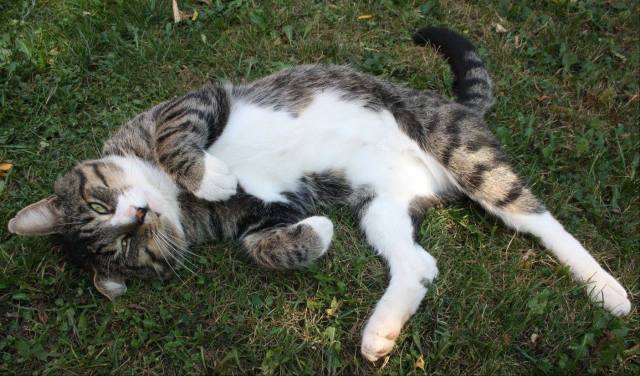 21950755_10159373179075243_5411204861863061457_o