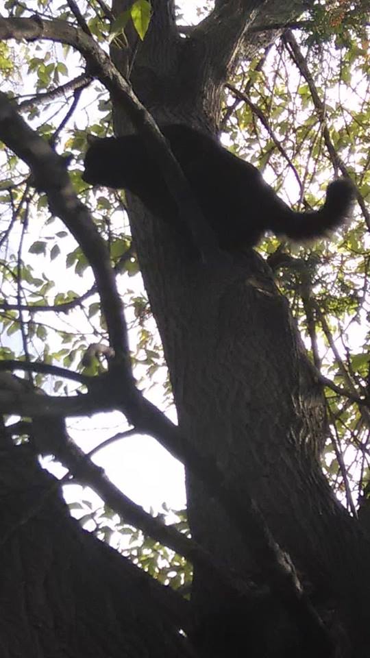 44365115_350135192409033_3442064641591607296_n