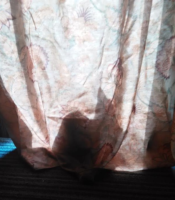 44490735_2154823108171210_2873158491948711936_n