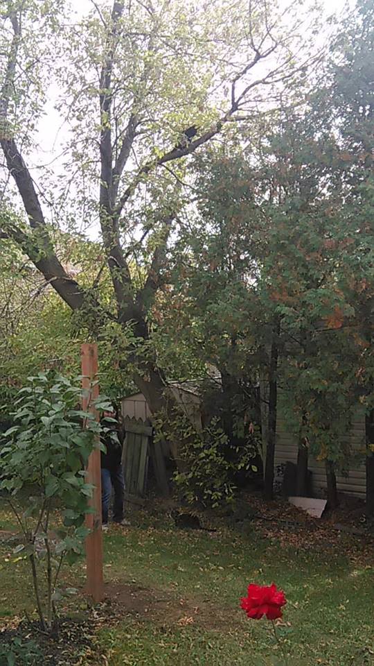 44495361_531535700606845_5772939055213838336_n