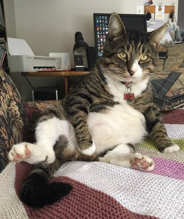 46430809_10161051737425243_4181306638688321536_n