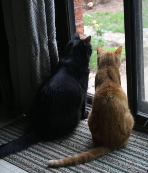 31882920_10160306790635243_4140851160611291136_n