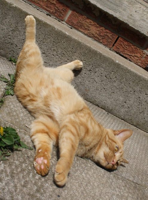 58444861_10161646721710243_753396658821136384_n