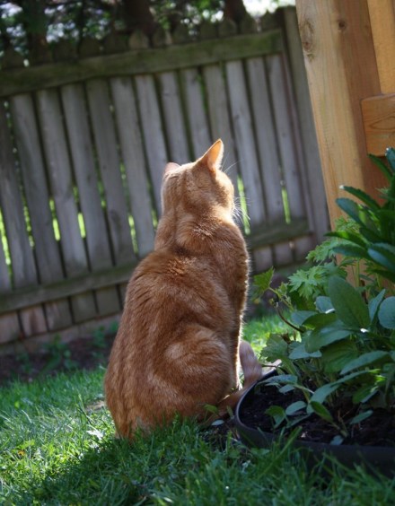 60810132_10161739813390243_2731348399935717376_n