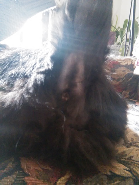 76720878_444811022842580_5677566673591205888_n