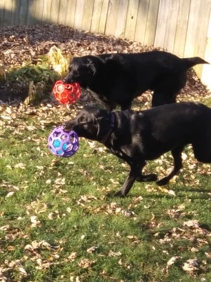 78144958_554172195130194_298359940555210752_n