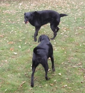 78223688_2681945515195151_8982116065911767040_n