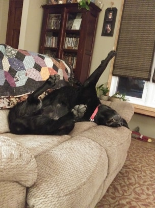 78933160_457943558215172_8833186198022258688_n