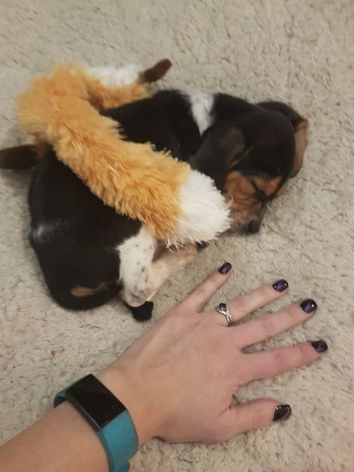 82364900_10162957631580137_3499480039282442240_o