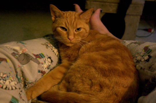 38133445_10160659803715243_7845699295989727232_o