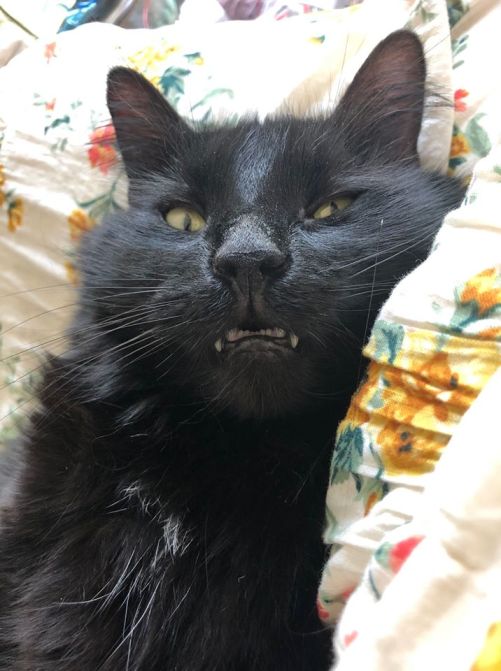 100921203_10163531040255243_728365572240179200_o