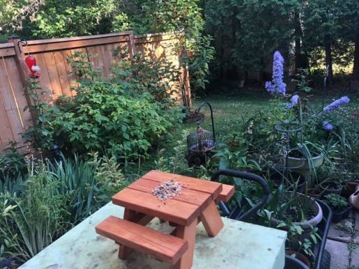 106421145_10163713032065243_4054633626292494442_n