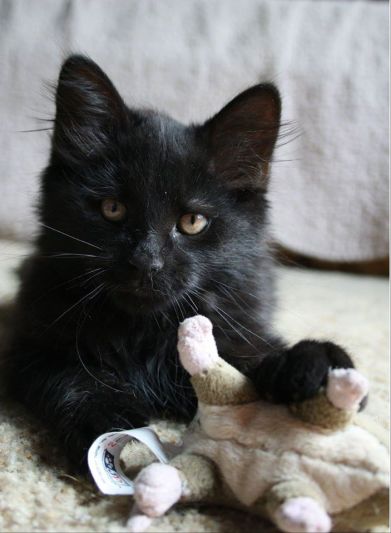 19944241_10158996679425243_6406440151540799559_o