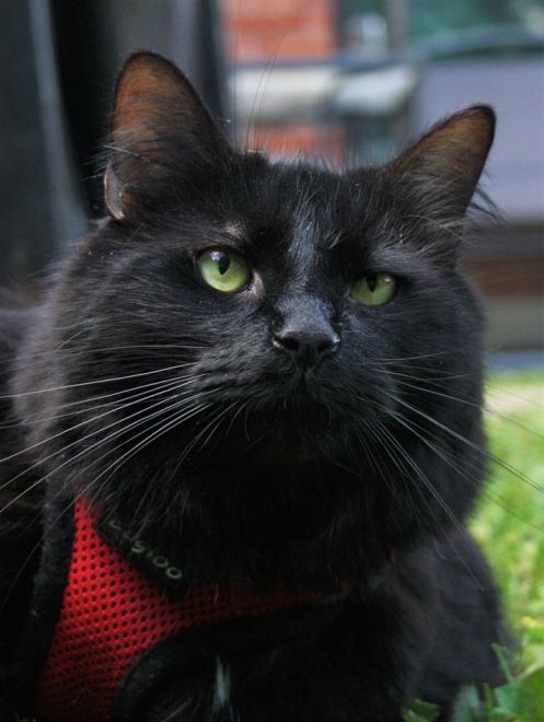 65178307_10161882364690243_3000017708315049984_o