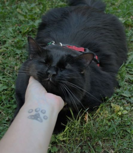 70221742_10162220954675243_213575422116364288_o