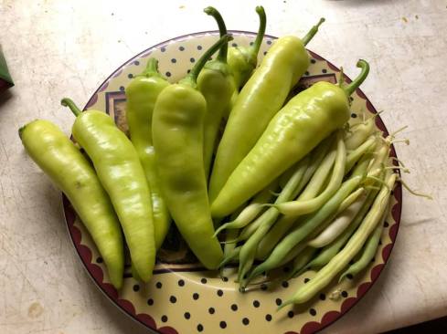 116709545_10163872561125243_5494748624219216524_n