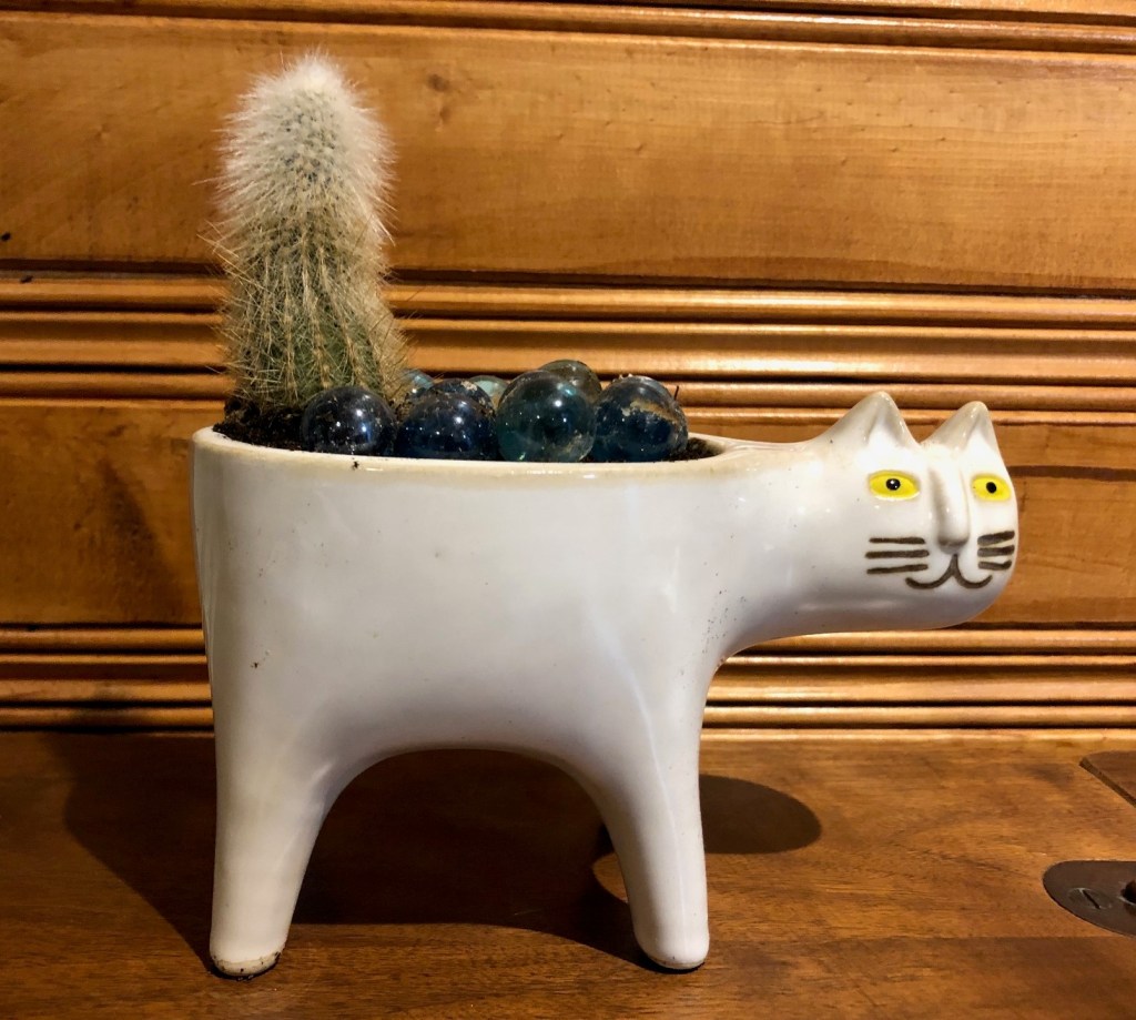 This image has an empty alt attribute; its file name is img_8175.jpg