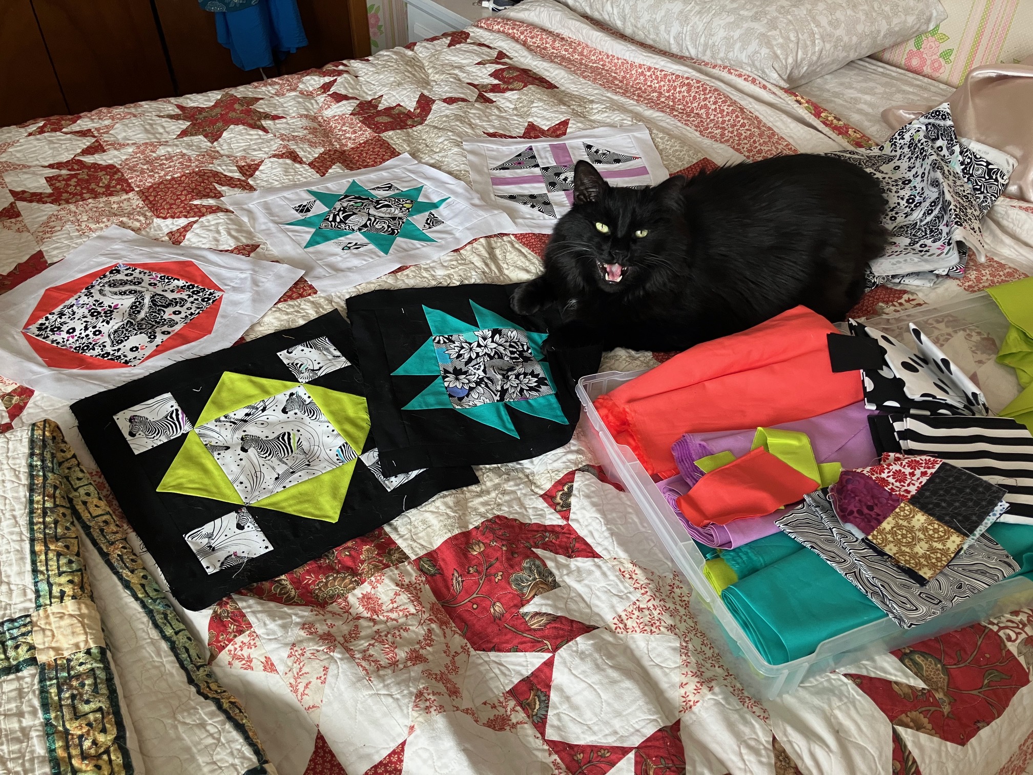 Back to the Blockheads – Wandering Cat Studio